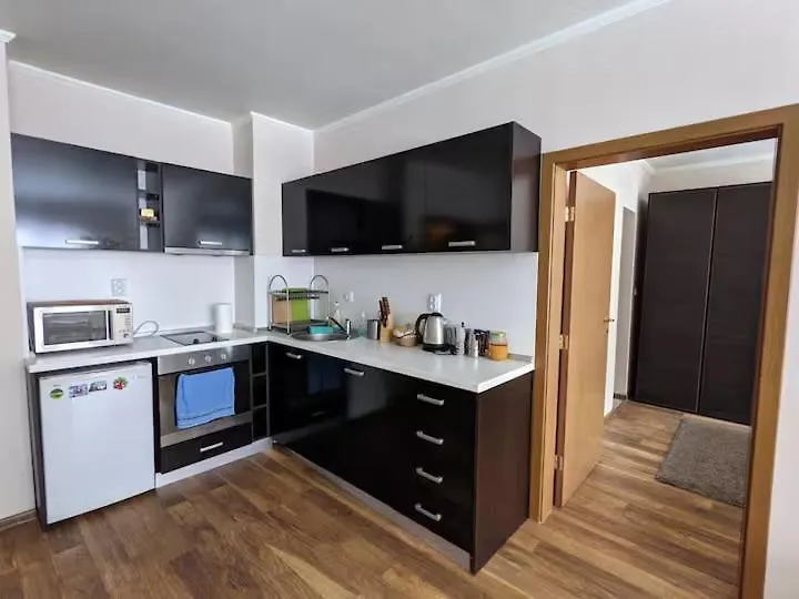 Spacious Modern 1Br Apartment Near The Gondola Bansko