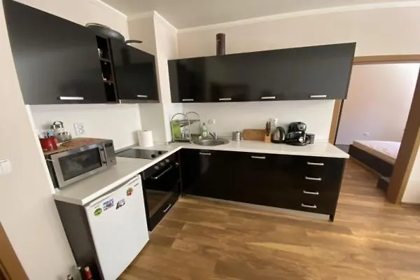 Spacious Modern 1Br Apartment Near The Gondola Bansko
